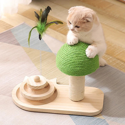 2-in-1 Cat Scratcher & Ball Game (done)