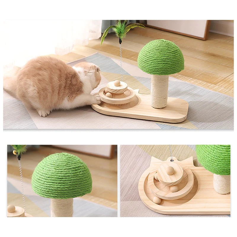 2-in-1 Cat Scratcher & Ball Game (done)