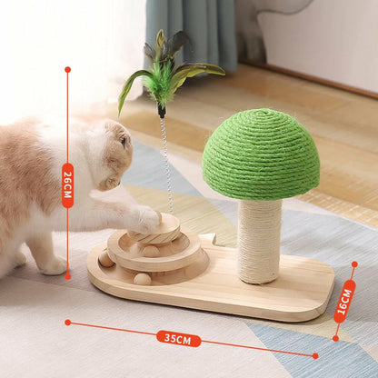 2-in-1 Cat Scratcher & Ball Game (done)