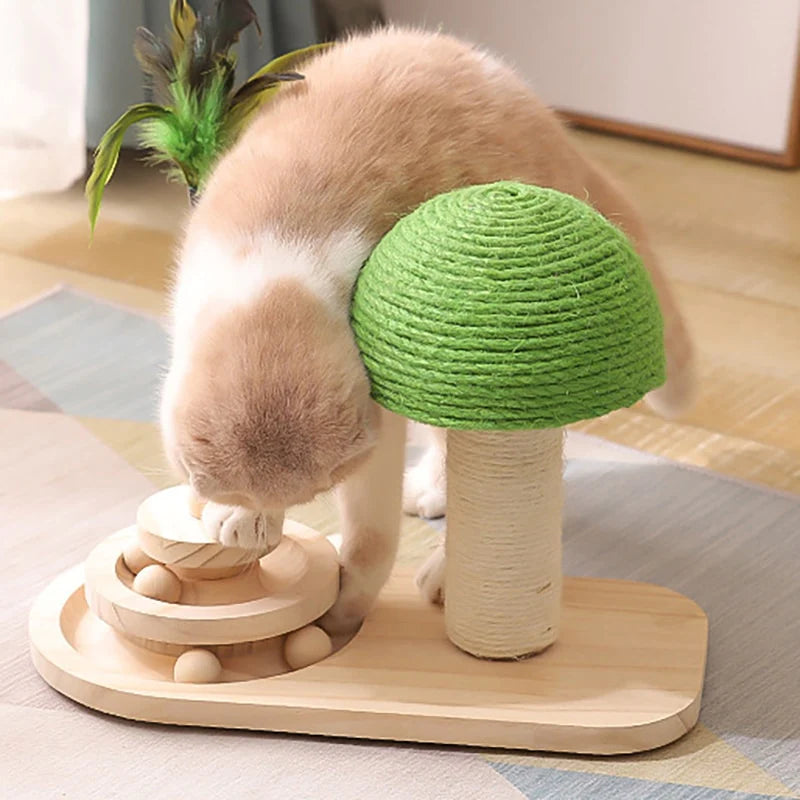 2-in-1 Cat Scratcher & Ball Game (done)